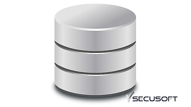 All our users have their own database Secusoft B.V. software for security officers